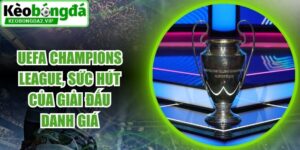 UEFA Champions League